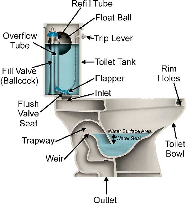 Clogged toilet? How to use a plunger and other things to try
